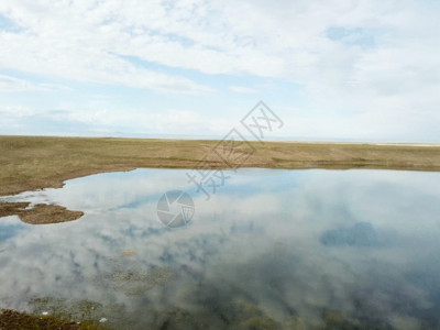 沼泽湿地青海湖湖泊GIF高清图片
