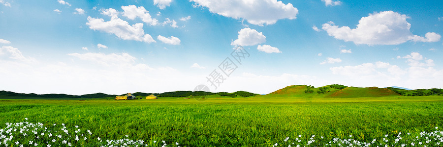 蓝天白云麦田草地背景设计图片