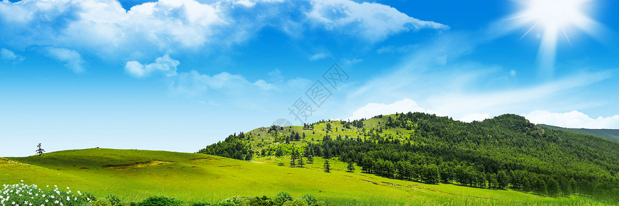 蓝天野花风景草地背景设计图片