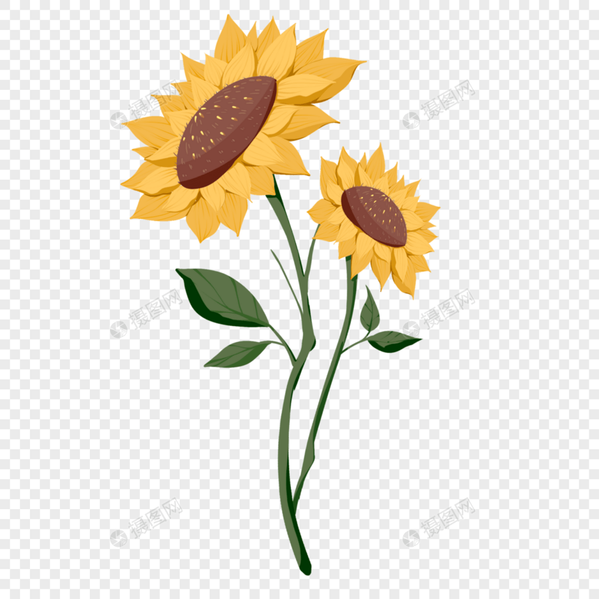 黄色向日葵手绘鲜花告白520素材图片