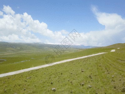 青海湖草原上的公路GIF图片