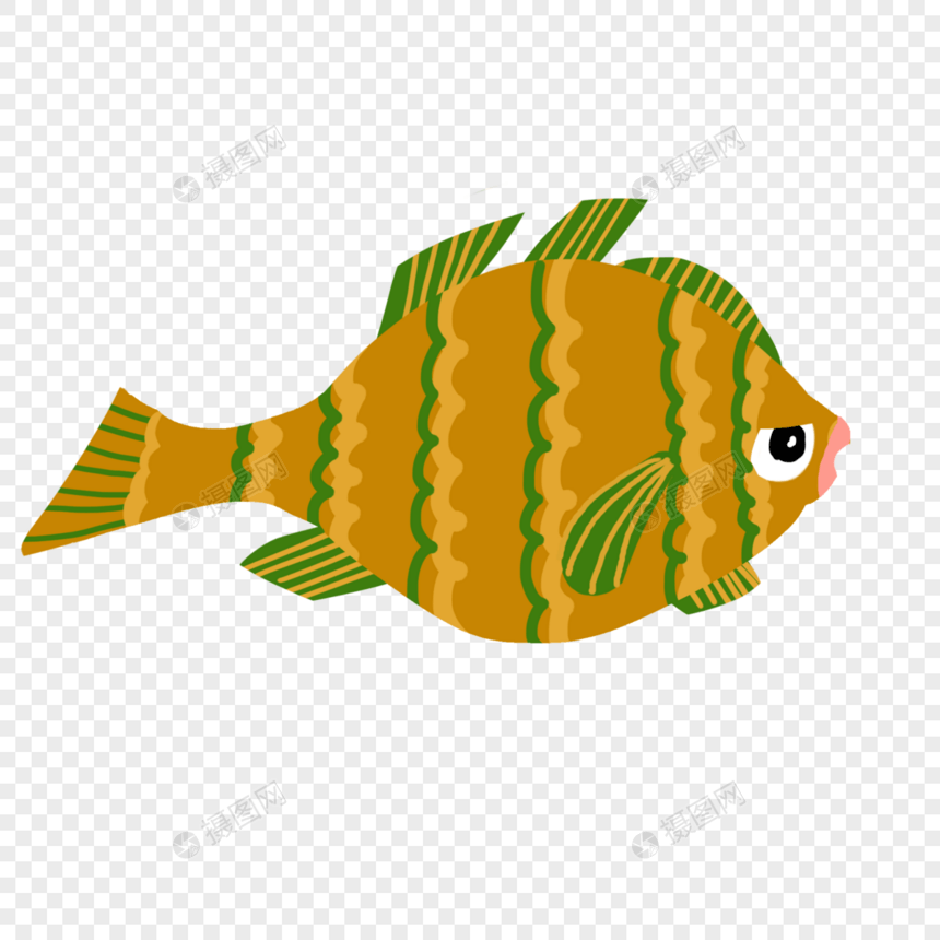 黄色条纹鱼图片