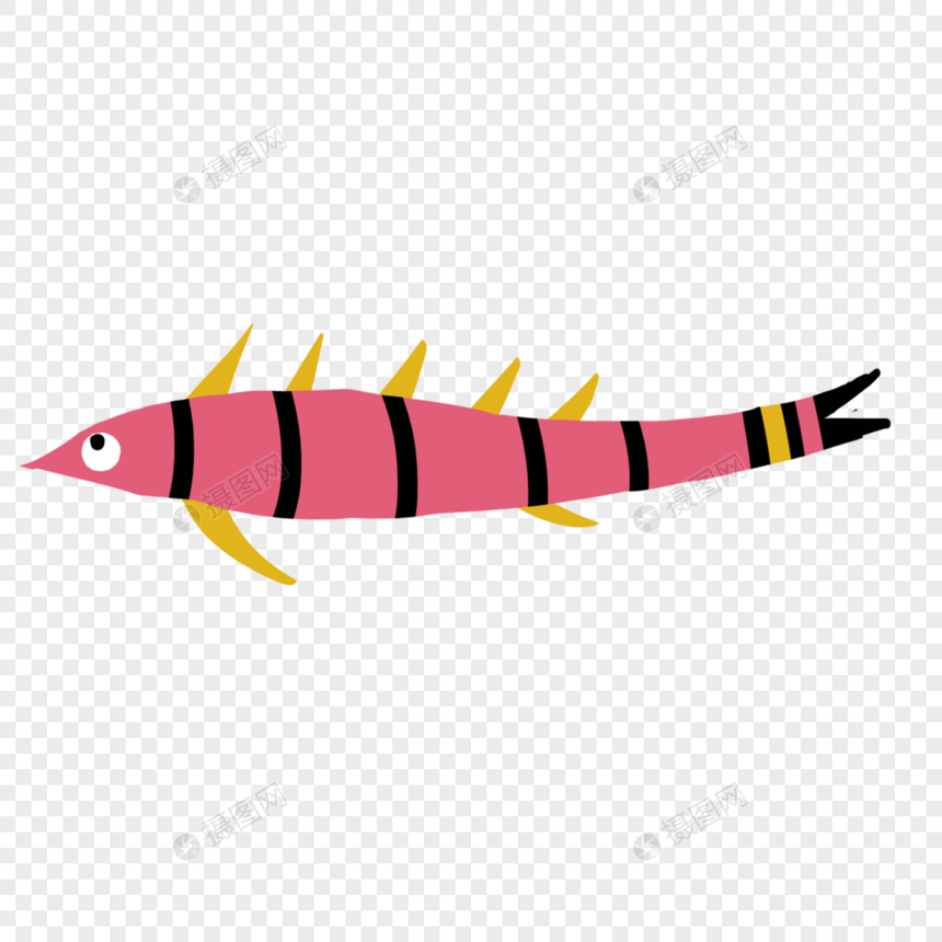 粉色条纹长鱼图片