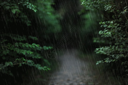 雨中的人背景gif高清图片