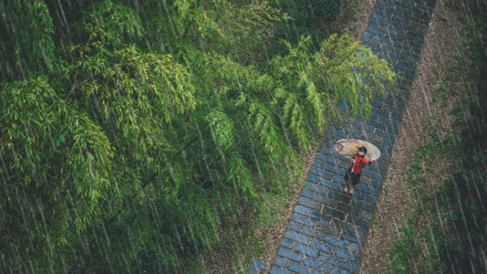 亲子旅游竹林中国风小女孩gif高清图片
