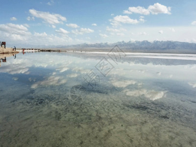 盐形动物青海湖景点GIF高清图片