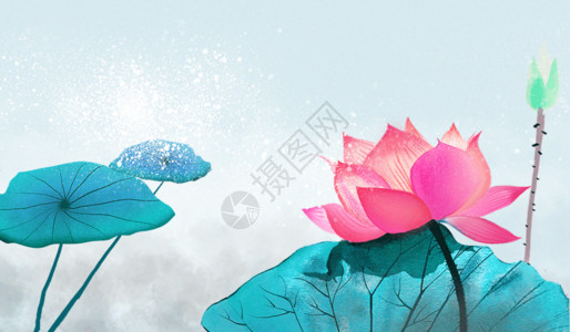 手绘漂亮鲜花中国画荷花插画gif动图高清图片