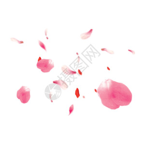 粉色球装饰花瓣gif高清图片
