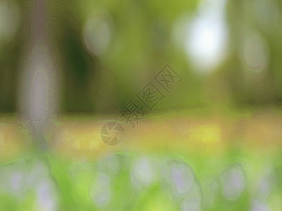 紫色唯美小花草丛里紫色的小花GIF高清图片