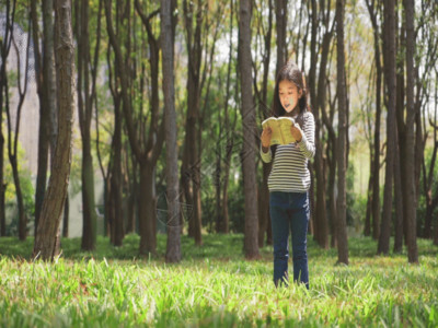 在读书的小女孩女生站在树林里看书GIF高清图片
