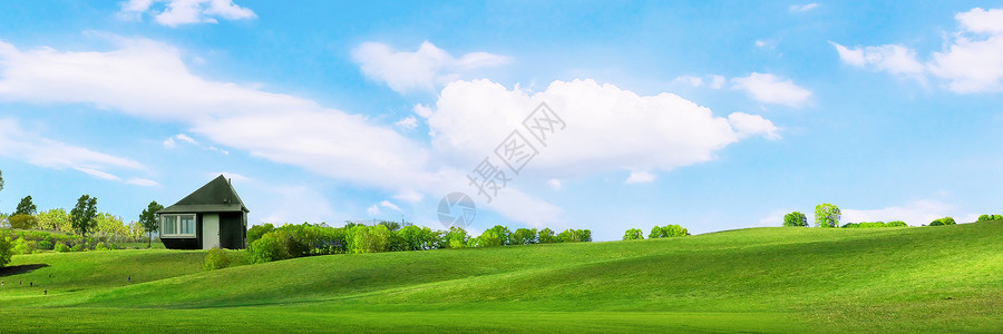 云朵上小海豹草地蓝天背景设计图片