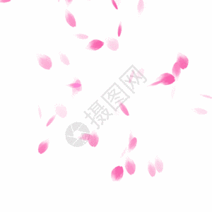 漂浮的粉色花瓣gif图片