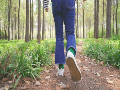 松林散步小道在公园行走的小女生脚步特写GIF高清图片