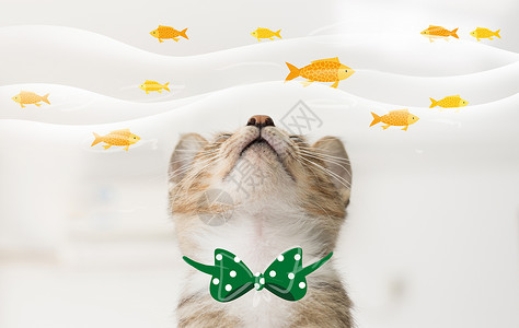 可爱萌货喵星人猫和鱼设计图片