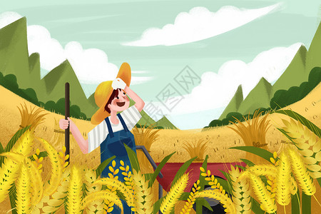 黄色麦穗芒种丰收麦穗插画
