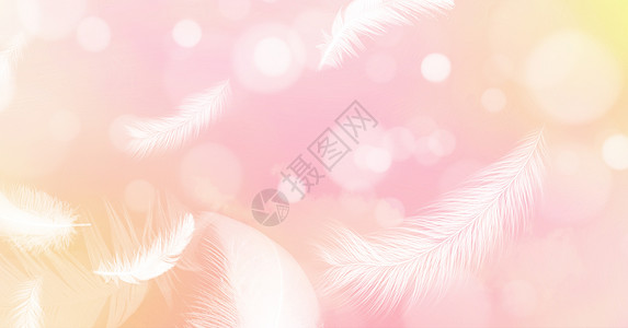 粉色羽毛清新羽毛背景设计图片