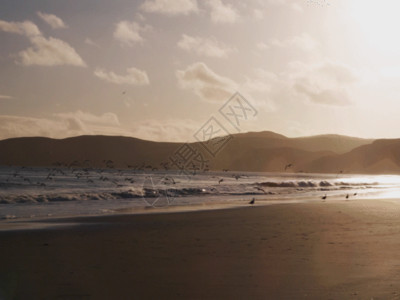 太阳下的人海面上的海鸥GIF高清图片