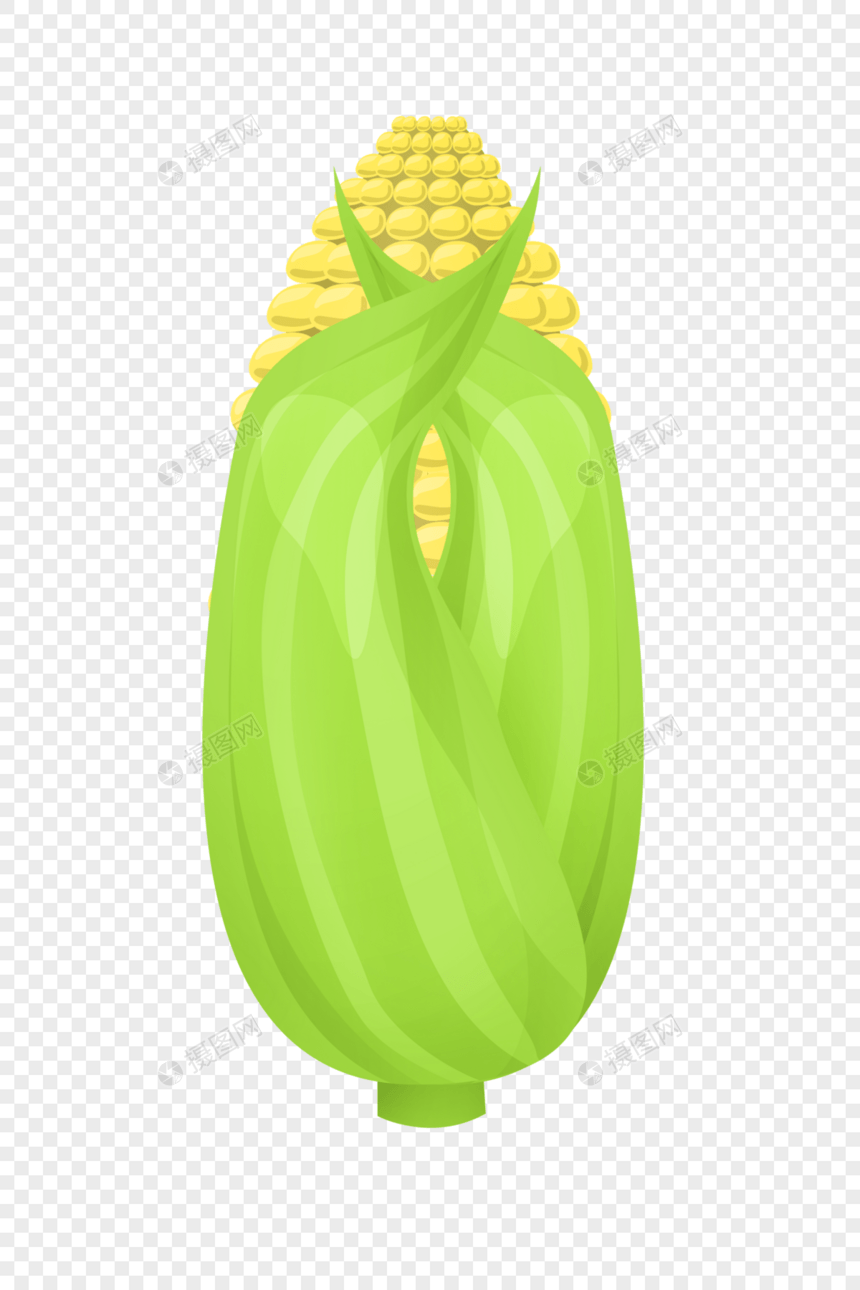 绿叶玉米图片