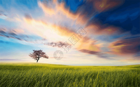 阳光草地奔跑草原上唯美的风光gif高清图片