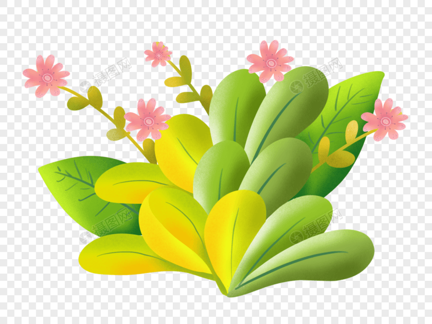 绿植花朵素材图片