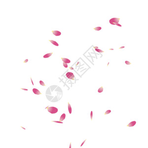 粉色梦幻花朵粉色花瓣gif高清图片