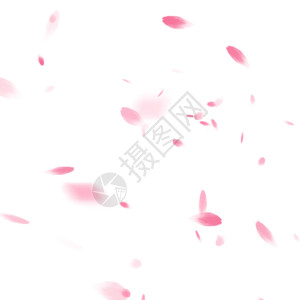 粉末喷射樱花浪漫花飘落瓣gif高清图片