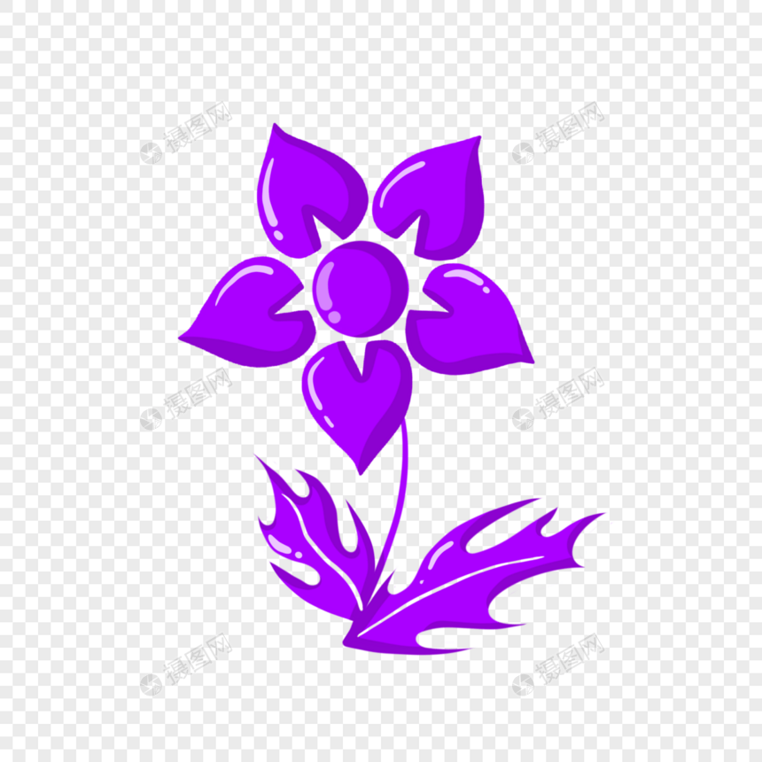 紫色的花朵图片