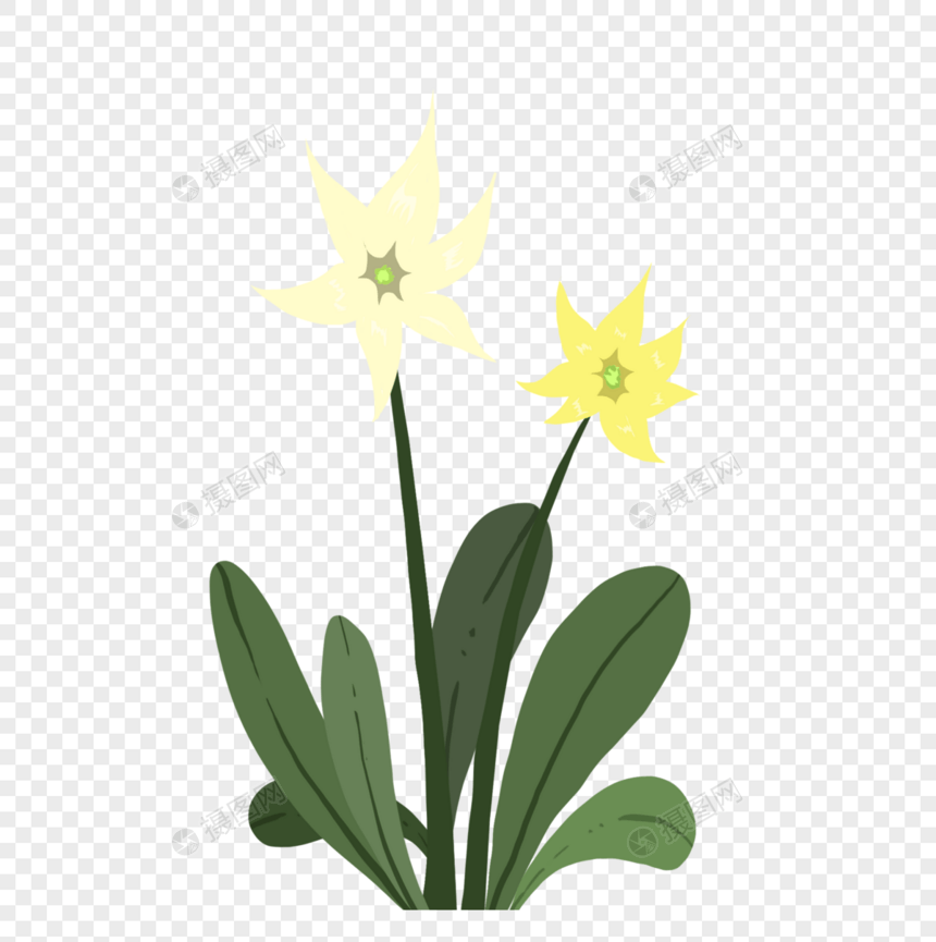 手绘黄色野花花卉元素图片