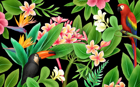 金刚菩提子热带植物花鸟插画