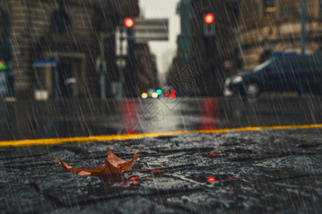 卵石路雨中城市gif高清图片