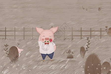 猪草地猪插画