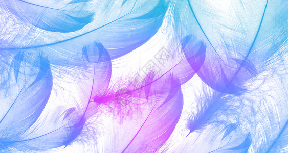 紫色羽毛光效色彩羽毛背景设计图片