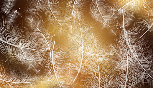 金色羽毛大气羽毛背景设计图片