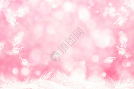 粉色绒毛唯美粉色羽毛设计图片