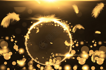 太阳羽毛金色羽毛背景设计图片