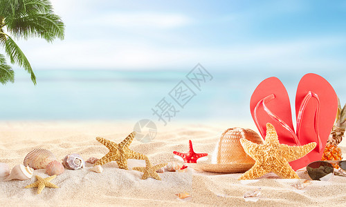 椰子树和沙滩夏至设计图片