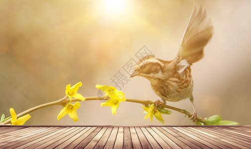 花草鸟刺绣春天背景设计图片