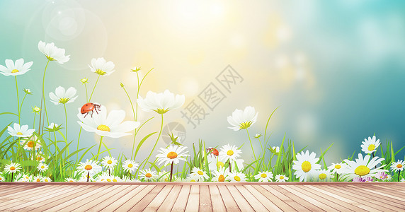 绿色瓢虫夏天鲜花背景设计图片