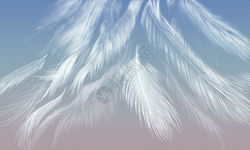 小清新白色壁纸小清新羽毛背景设计图片