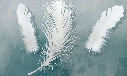 羽毛png抽象创意羽毛背景设计图片