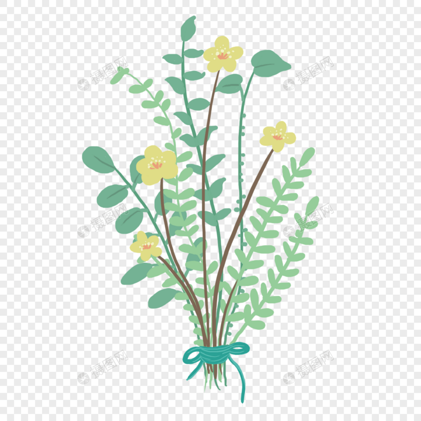 手绘一束清新植物花朵图片
