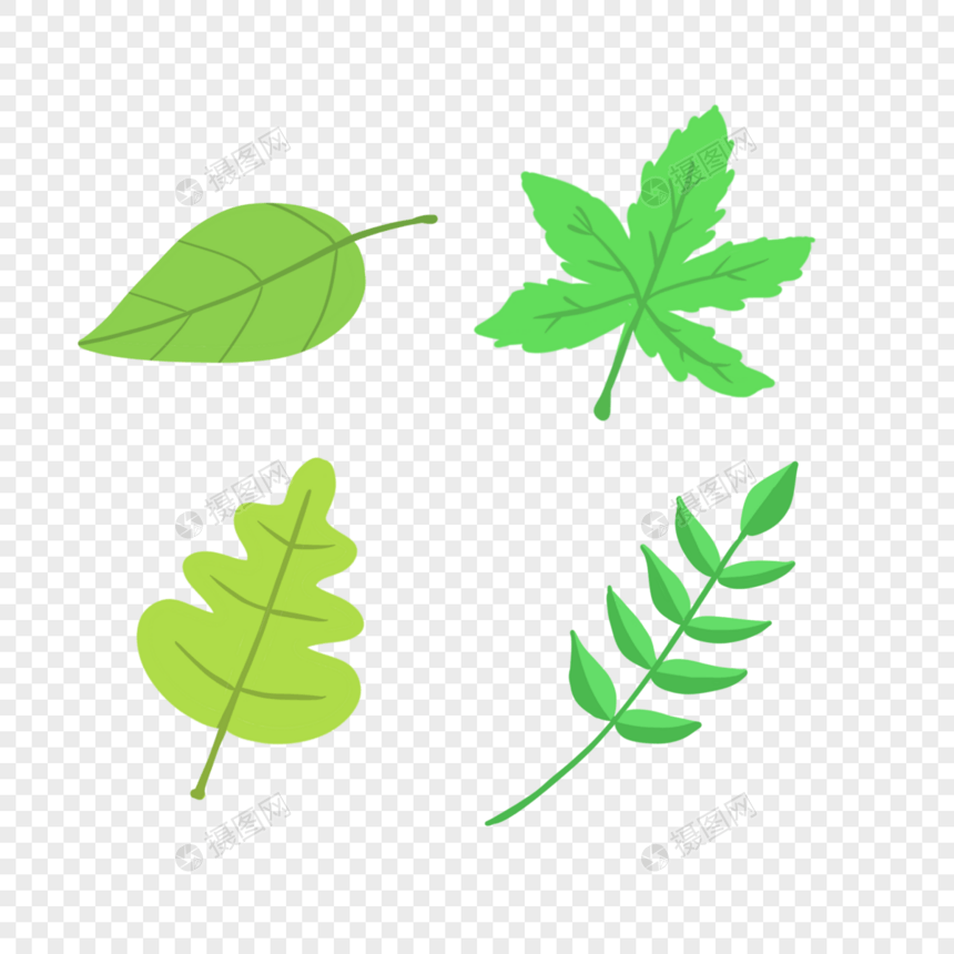 清新夏天绿色植物树叶图片