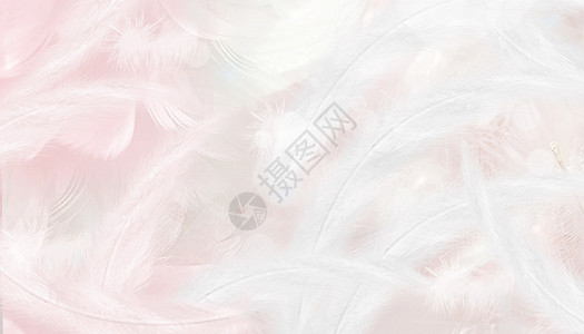 粉红色羽毛梦幻羽毛背景设计图片