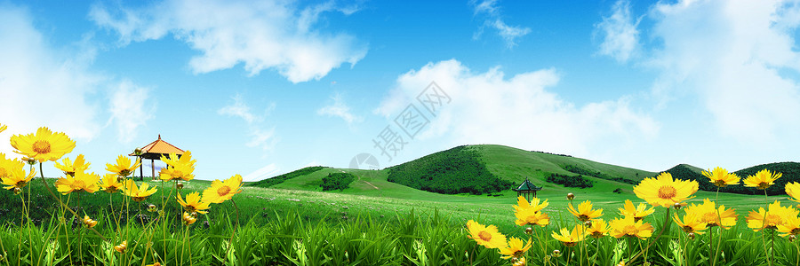 纯净的空气蓝天草地背景设计图片