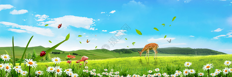长颈鹿鹿草地天空背景设计图片