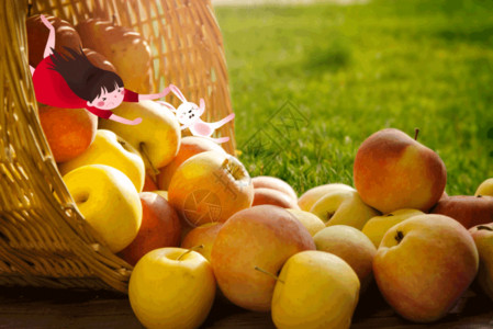 果园丰收大丰收新鲜的苹果gif高清图片