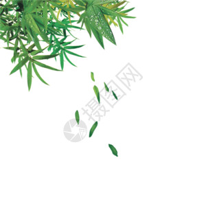 绿色竹子边框竹叶gif高清图片