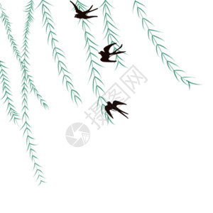 枫叶免抠图素材柳枝和燕子gif高清图片