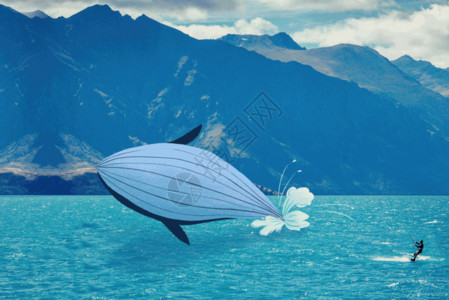 飞艇海上冲浪遇到鲸鱼gif高清图片