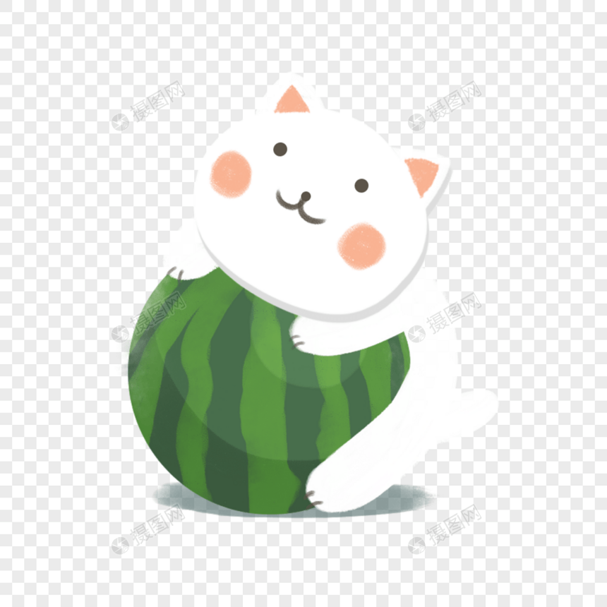 抱着西瓜的小猫图片